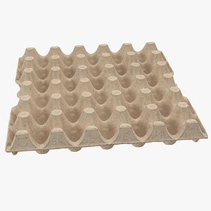 30 Cells Eggs Cardboard Empty