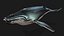 Whale