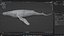 Whale