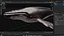 Whale