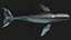 Whale