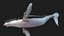 Whale
