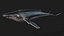 Whale