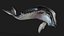 Whale