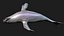 Whale