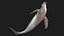 Whale