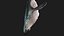 Whale