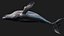 Whale
