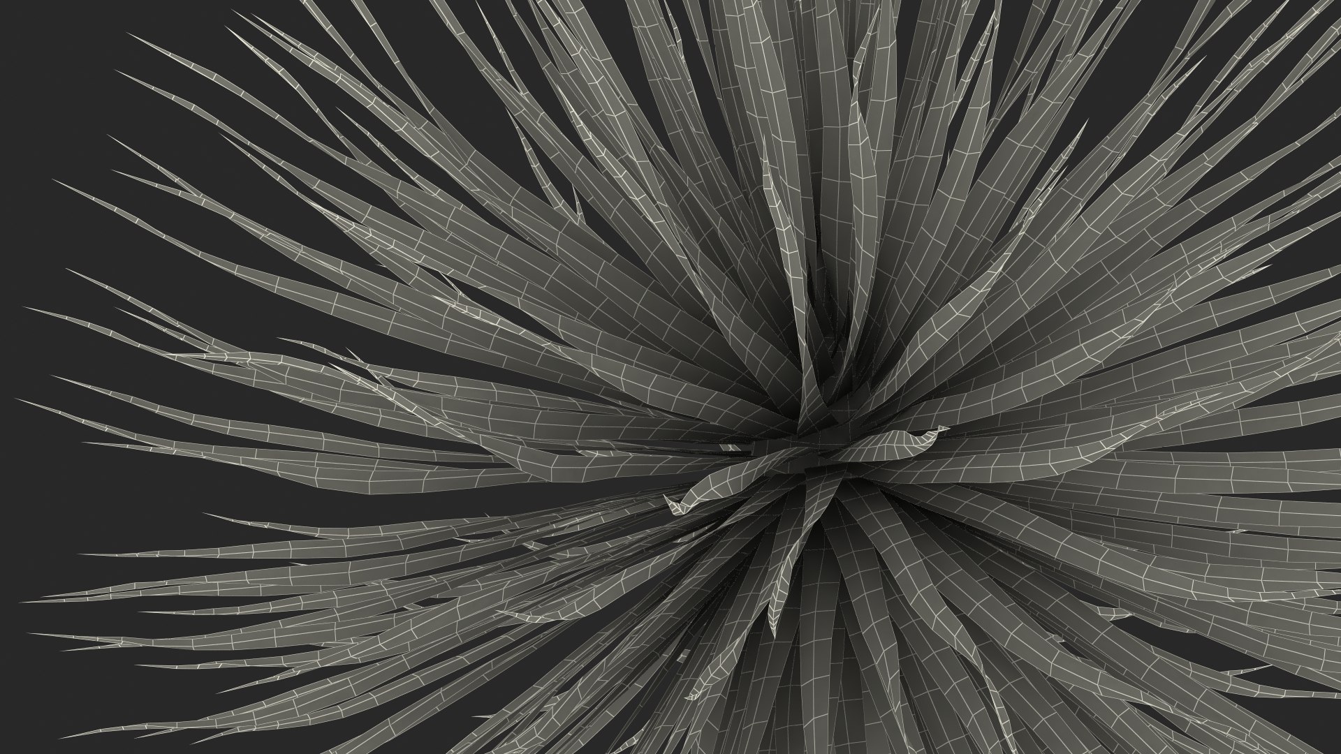 Dragon Blood Tree Young Model - TurboSquid 1740795
