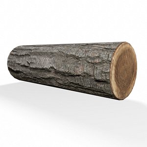 log nature plants 3D