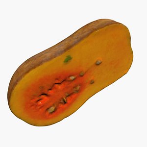 Half Pumpkin 3D Scan High Quality model