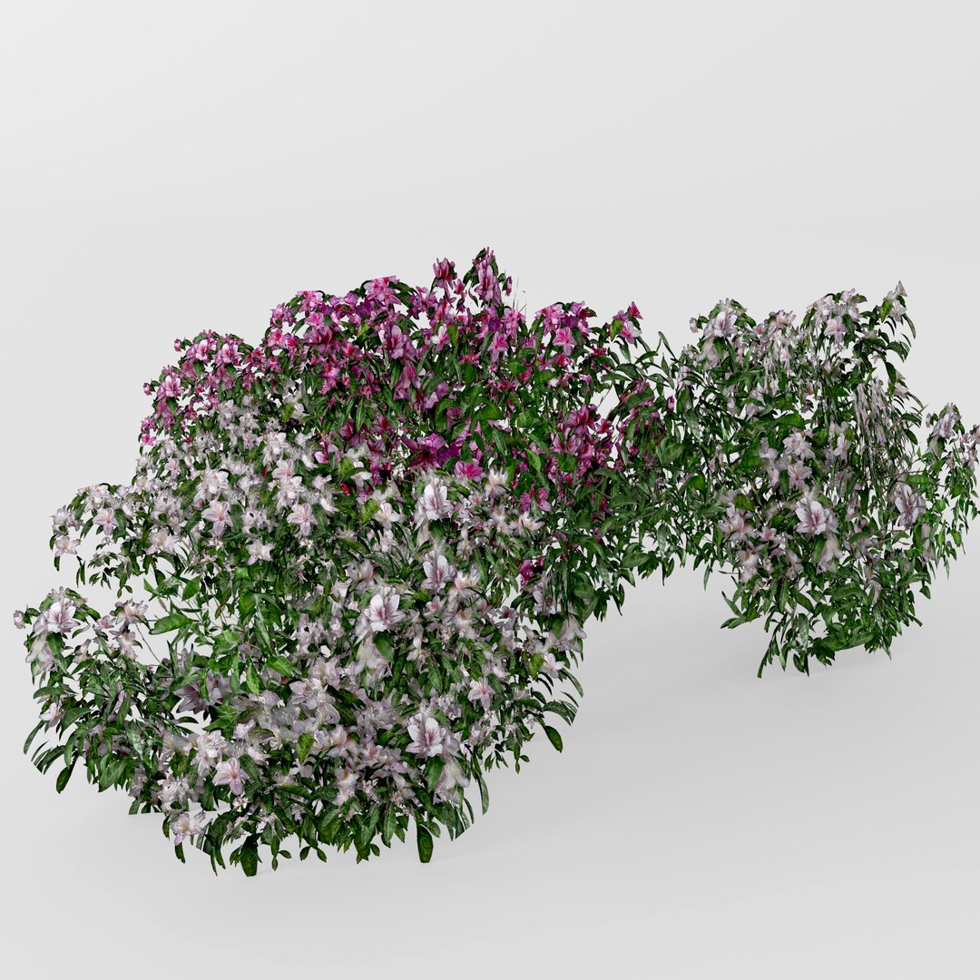 3D model azalea https://p.turbosquid.com/ts-thumb/4N/RHdbb7/C1sFQdej/3/jpg/1558210099/1920x1080/fit_q87/6236de87d660deee1ae184943245f92bc77fc8ad/3.jpg