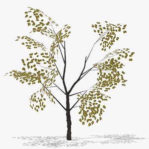 3D quince autumn model