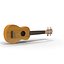 Coleção de instrumentos de cordas 4