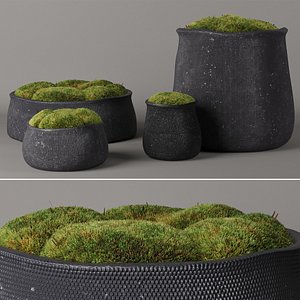corona moss 3D model