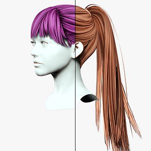 Female Hair - High Ponytail 3D model