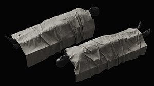 3D Covered Corpse 01 model