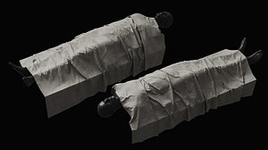 Covered Corpse 01