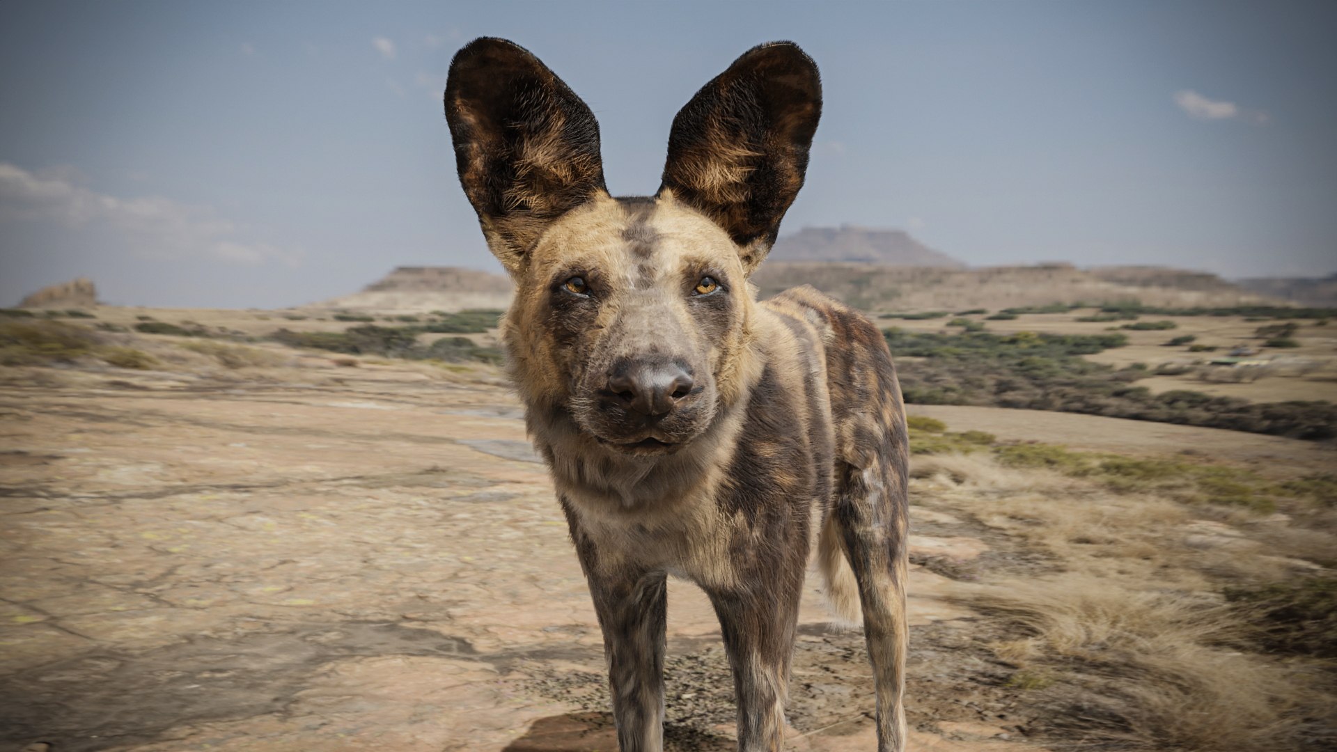 Low Poly Realistic Hyena Model - TurboSquid 2251873
