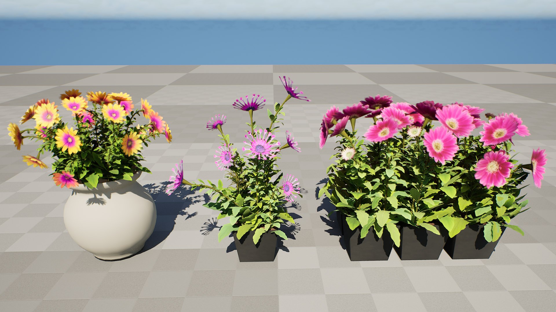 Cape Marguerite Flowers 3D Asset Pack 3D model https://p.turbosquid.com/ts-thumb/4N/ln2r6K/Lr/highresscreenshot00005/jpg/1745878617/1920x1080/fit_q87/6bdd4b1087958586aafc7a783c46003c5714de1e/highresscreenshot00005.jpg