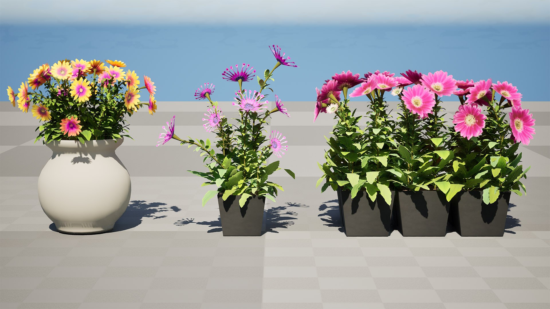 Cape Marguerite Flowers 3D Asset Pack 3D model https://p.turbosquid.com/ts-thumb/4N/ln2r6K/eX/highresscreenshot00001/jpg/1745878615/1920x1080/fit_q87/ed6d4d84f4287ad05d70a5b9ab7a2cc665bd5f03/highresscreenshot00001.jpg