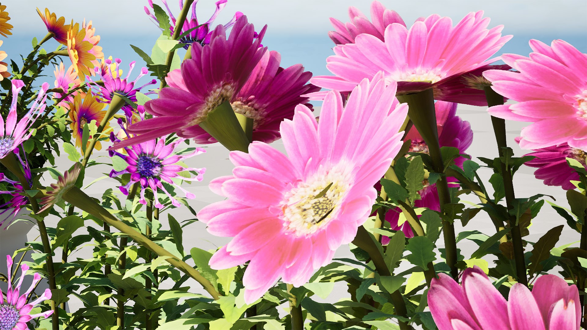 Cape Marguerite Flowers 3D Asset Pack 3D model https://p.turbosquid.com/ts-thumb/4N/ln2r6K/gx/highresscreenshot00004/jpg/1745878614/1920x1080/fit_q87/3ae8d3d5c77e2bd567202cb89eaf83a6bb2231e2/highresscreenshot00004.jpg