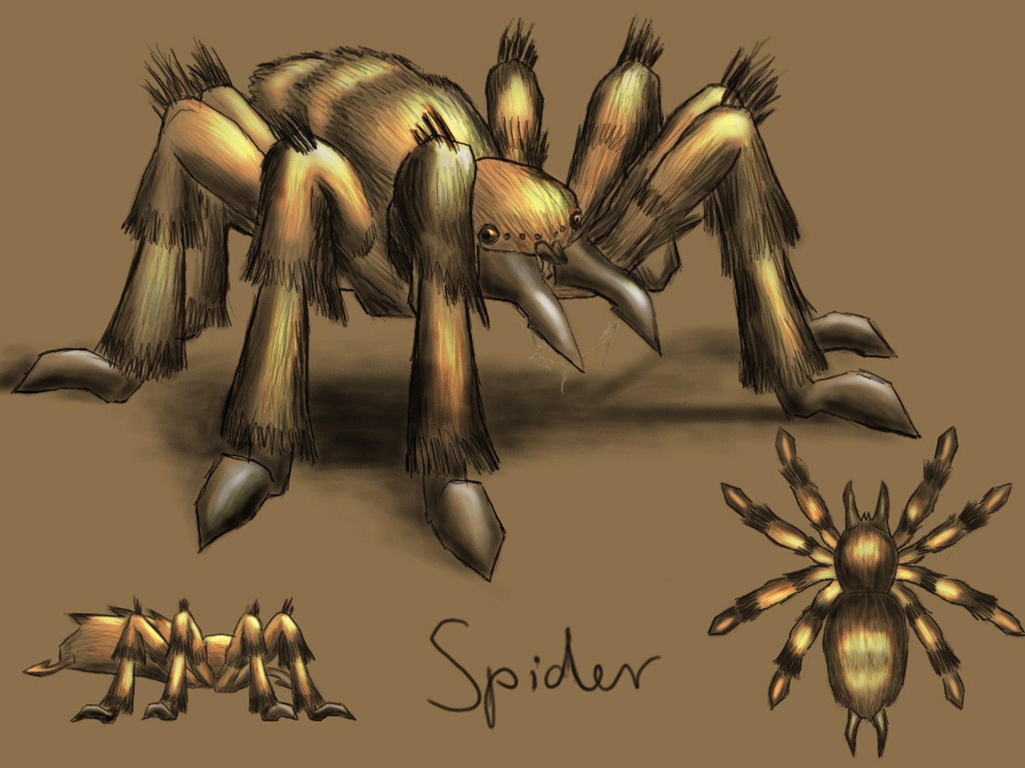 free spider animations 3d model https://p.turbosquid.com/ts-thumb/4N/w4YaEU/Y0DLIHRe/spider_concept/jpg/1208160948/1920x1080/fit_q87/06e402a3c78d51d17dfe679f9bbcd8f94f0f2eed/spider_concept.jpg