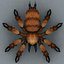 Free Low poly Fantasy Spider