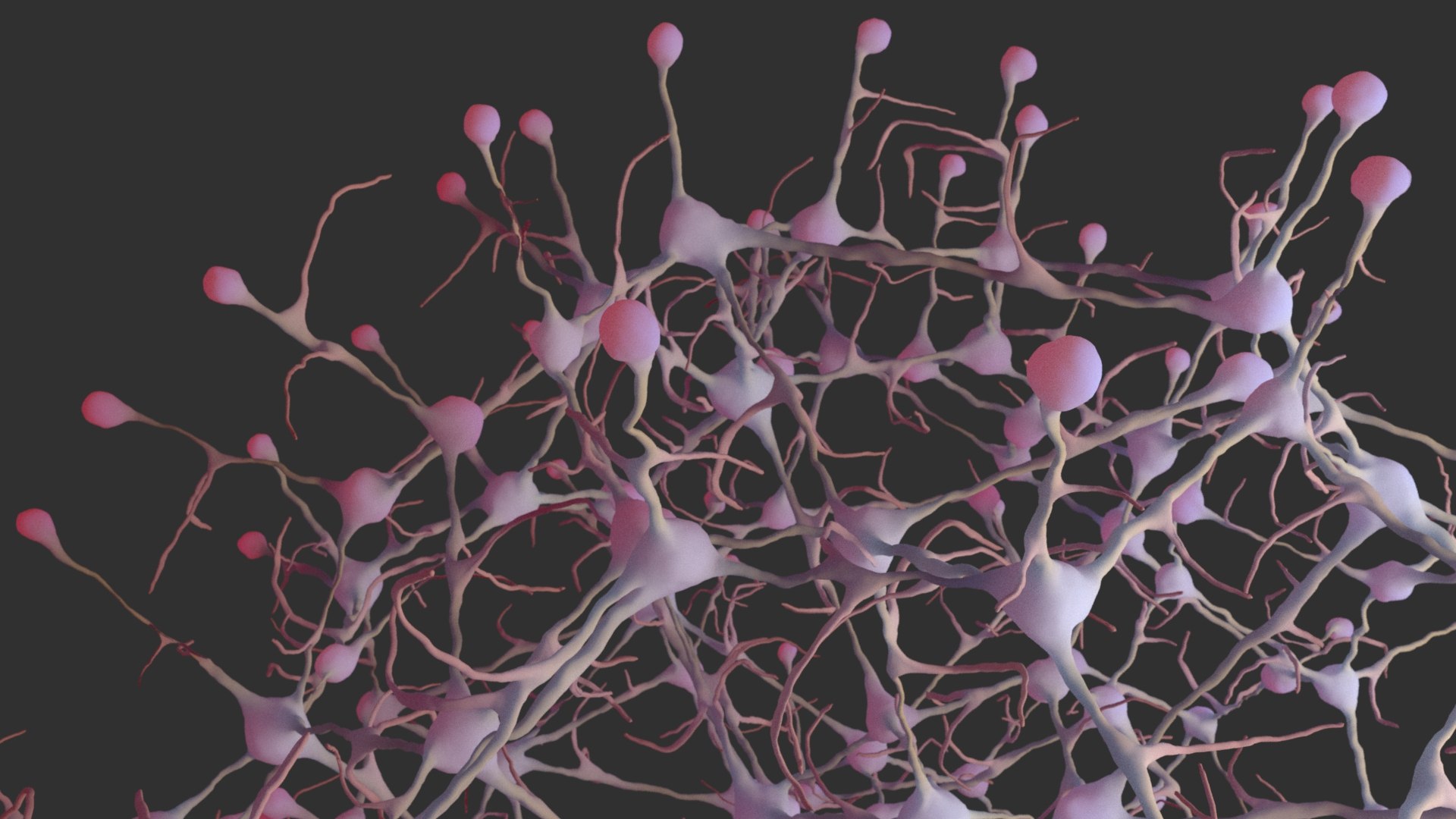 Network Cells Model - TurboSquid 1332808