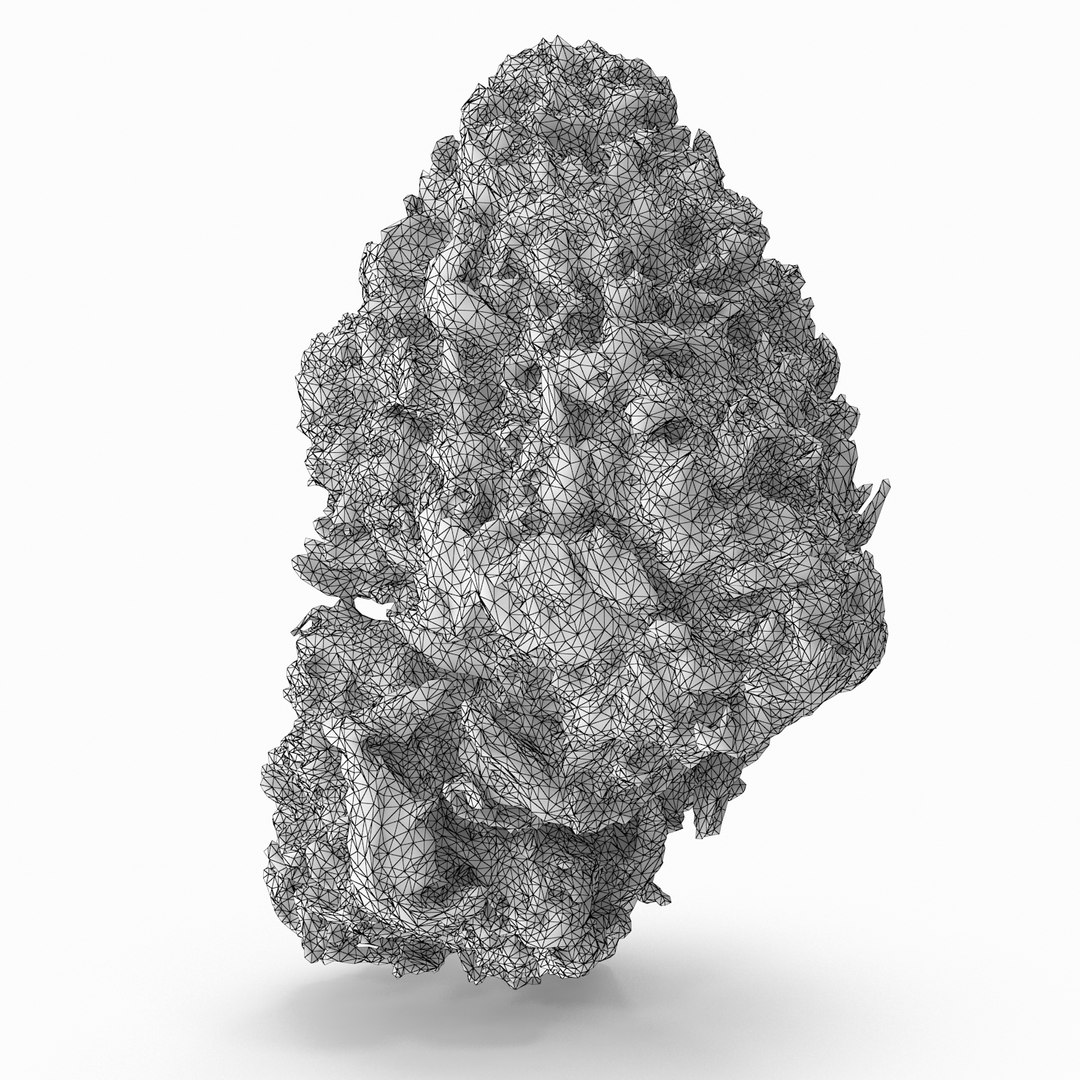 Cannabis Bud 3D Model - TurboSquid 1155414