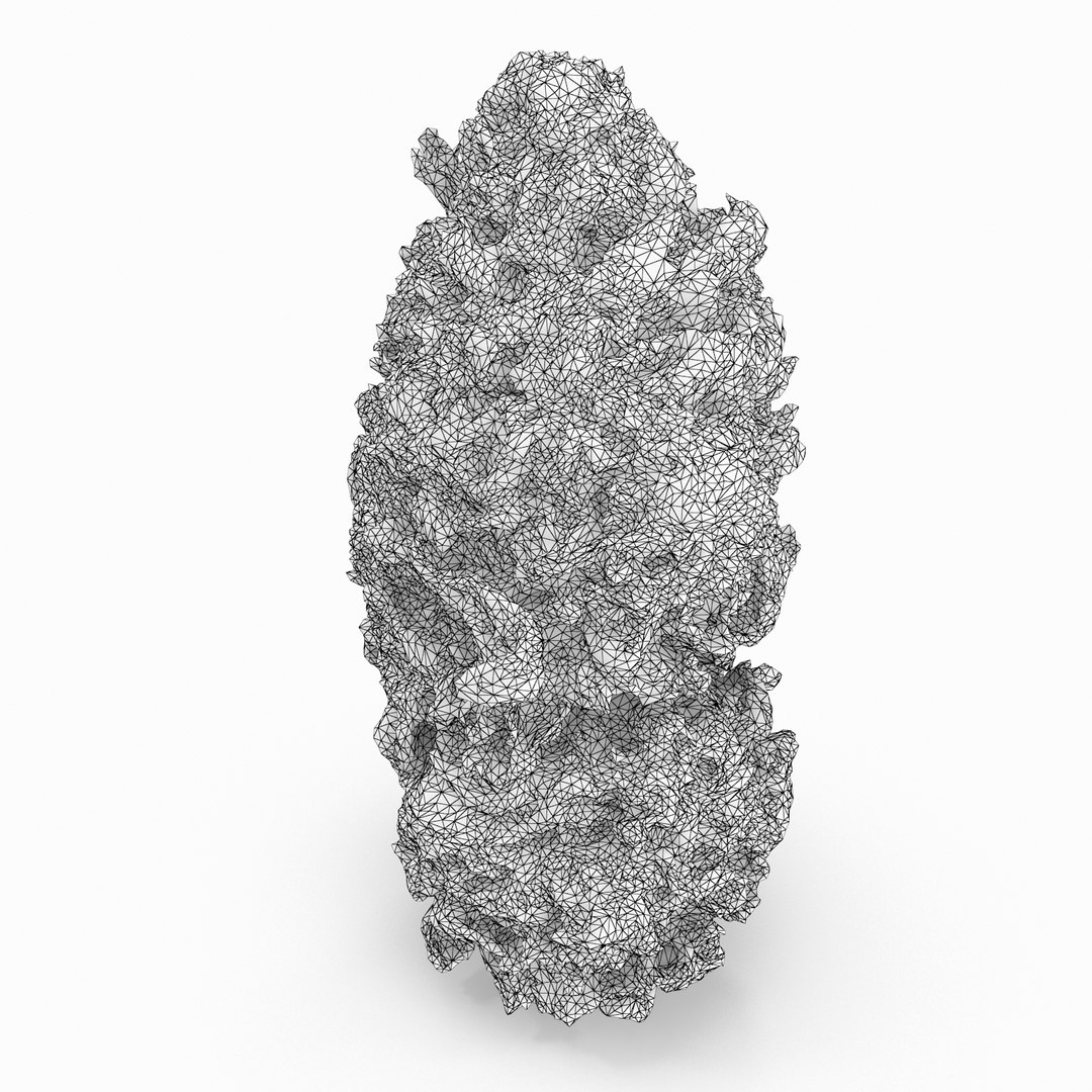 Cannabis Bud 3D Model - TurboSquid 1155414