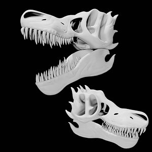 Rigged Trex skull 3D model