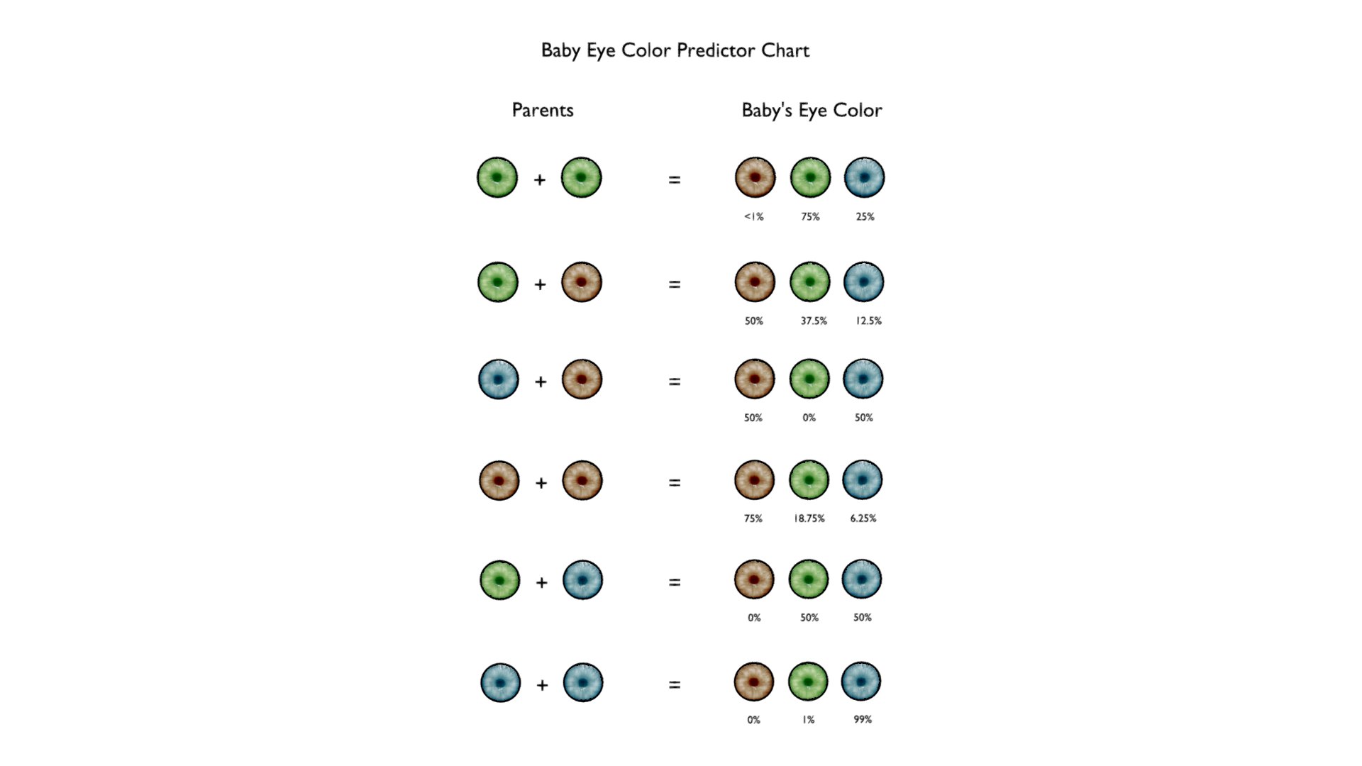Baby Eye Color Predictor Chart 3D Model - TurboSquid 2503226