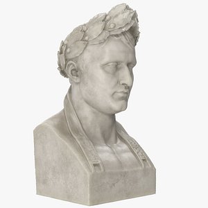 Napoleon Bust