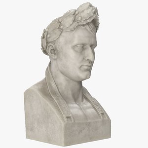 Napoleon Bust