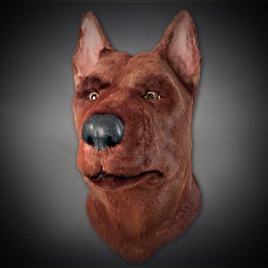 Dog Head
