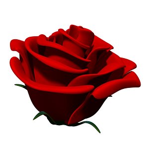 3D rose