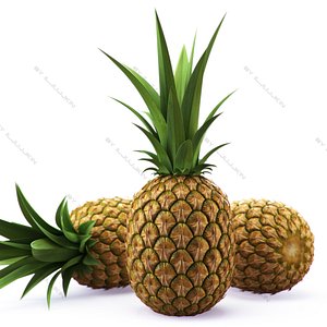 realistic pineapple 3d model