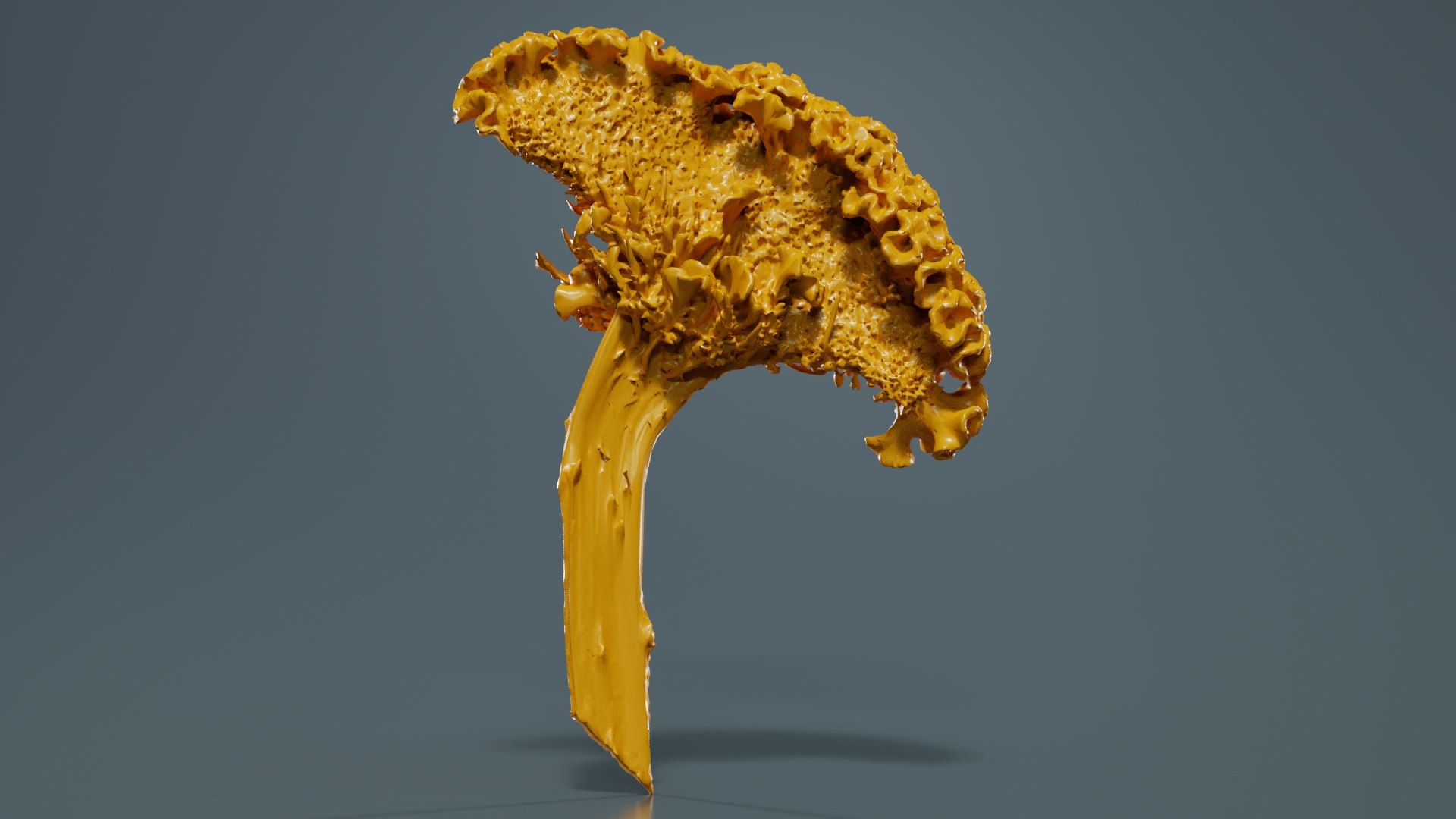 3D Model Cockscomb Remastered - TurboSquid 2362582