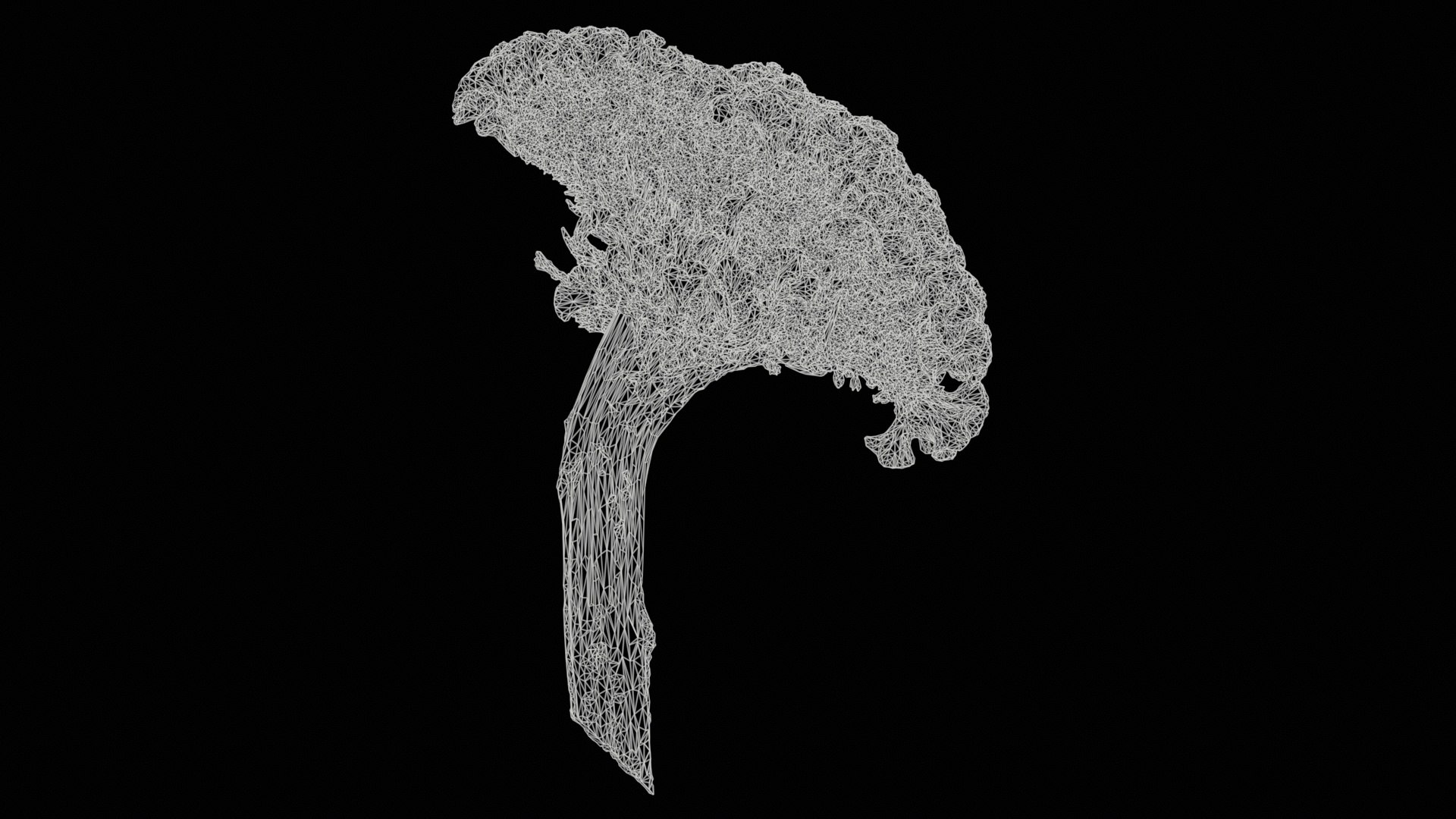 3D Model Cockscomb Remastered - TurboSquid 2362582