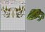 Frog papermodel