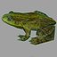 Frog papermodel