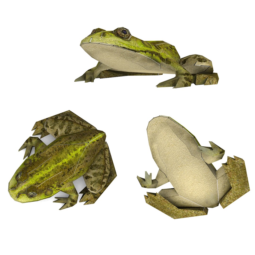 free 3ds mode paper frog papermodel https://p.turbosquid.com/ts-thumb/4O/dt0zNK/r9mAzck0/frog_view_b/jpg/1298904510/1920x1080/fit_q87/84fe0dbe4054cd6107bdc9c52f504ae35b0ad5e3/frog_view_b.jpg