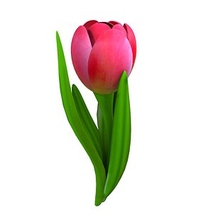tulip modeled 3d model