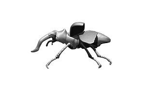 3D beetle insect animal model
