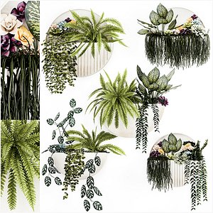 Vertical Gardening Potted Succulents Hanging Plants Fern 1447