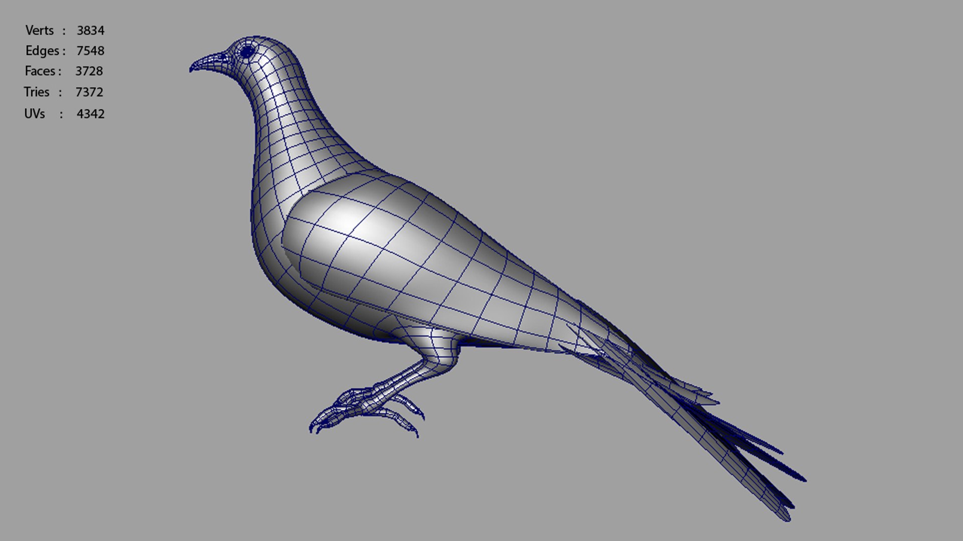 Passenger Pigeon Obj
