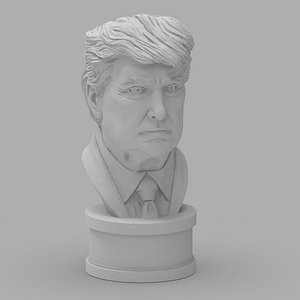 3D Donald J Trump Hyper Realistic Bust for 3D Printing model