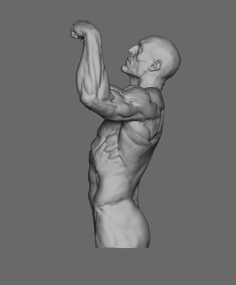 3D Strong Man Pose Model - TurboSquid 1821757