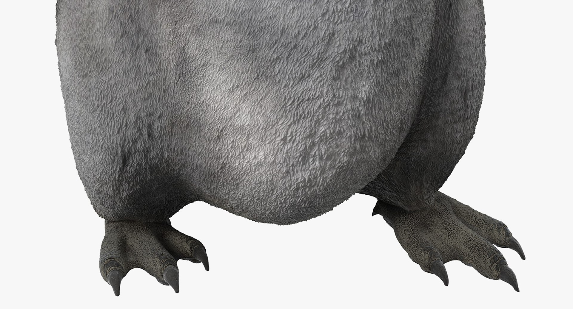 3D baby emperor penguin rigged https://p.turbosquid.com/ts-thumb/4P/RTJisZ/AVXEoZxZ/babyemperorpenguinriggedmb3dmodel019/jpg/1563838471/1920x1080/fit_q87/c9e206c0a2154acbe60f15c8e3d219791392a5ef/babyemperorpenguinriggedmb3dmodel019.jpg